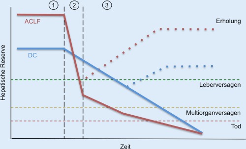 graphic file with name 63_2017_263_Fig3_HTML.jpg