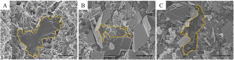 Fig. 10