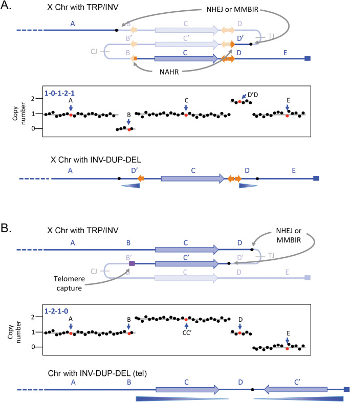 Fig 4