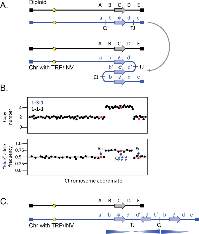 Fig 2