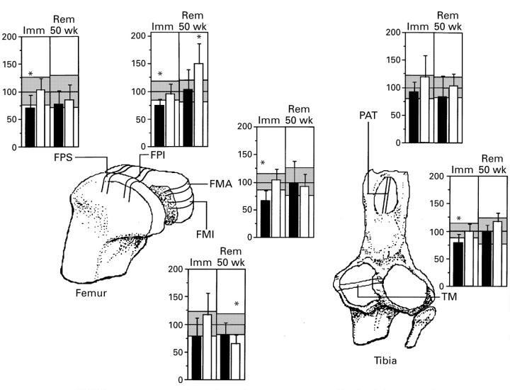 Figure 1  