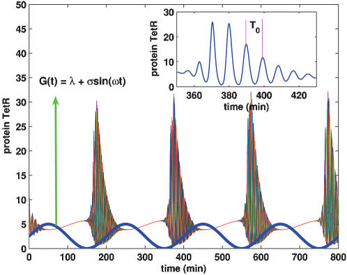 Figure 10