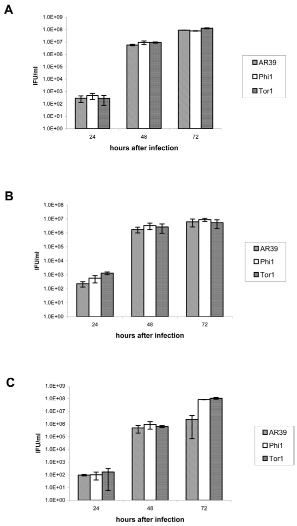 Fig. 4