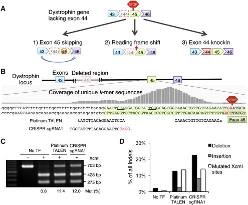 Figure 2