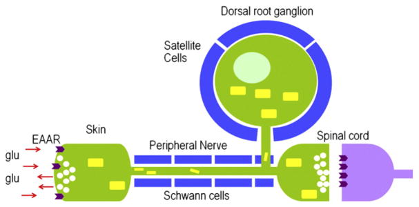 Fig. 5