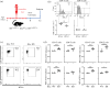 Loss of BTLA in adult mice leads to increased T cell CD5 and PD−1 expression.