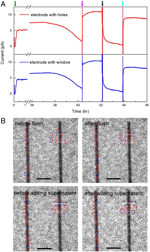 Fig. 4.