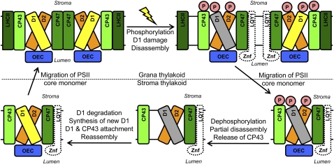 Figure 9.