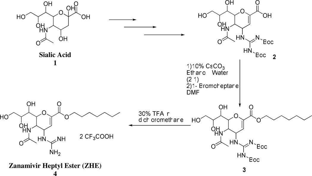 Scheme 2