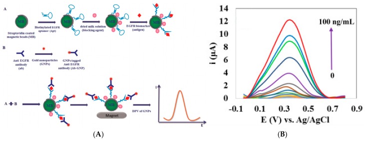 Figure 31