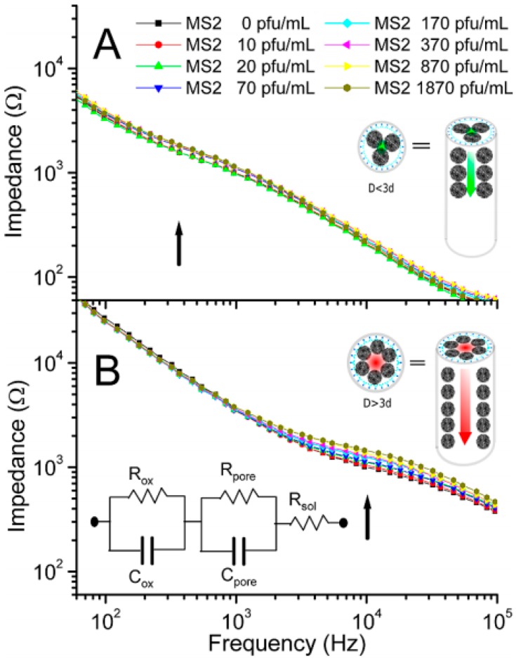 Figure 37