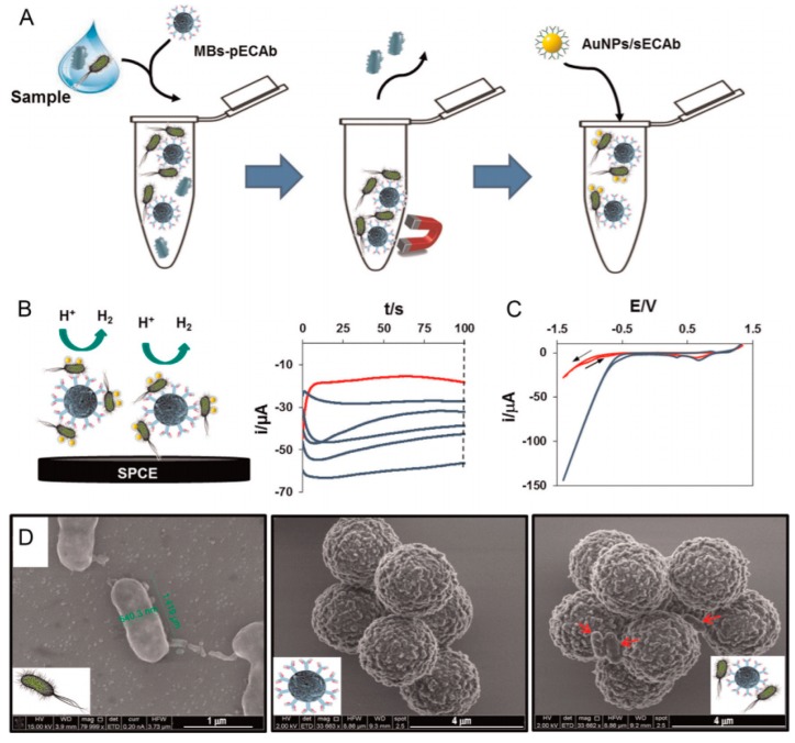 Figure 30