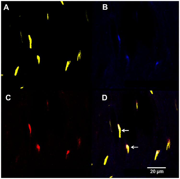 Fig. 3.