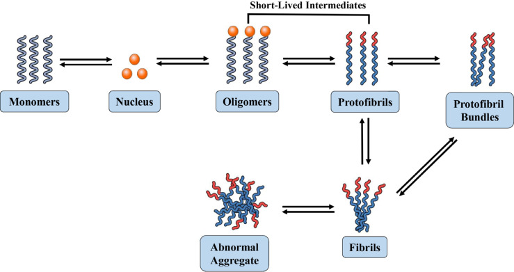 Fig. (1)