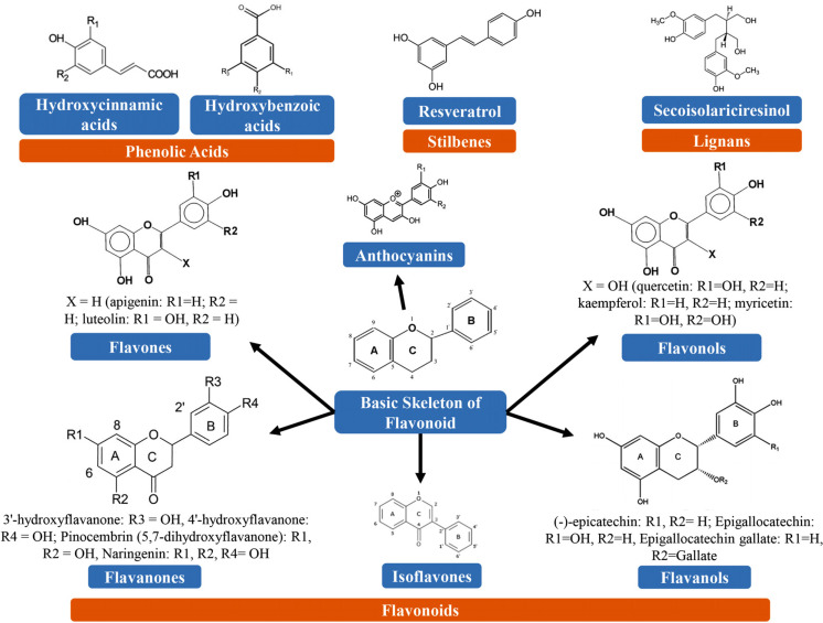 Fig. (2)