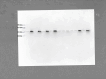 figs28