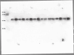 figs27