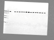 figs24