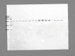 figs35