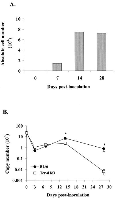 FIG. 1.