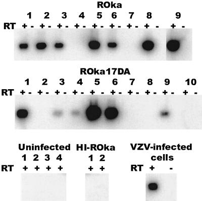 FIG. 11.