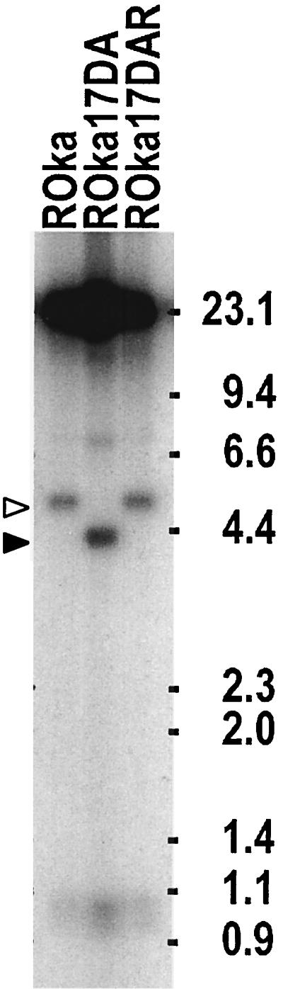 FIG. 6.