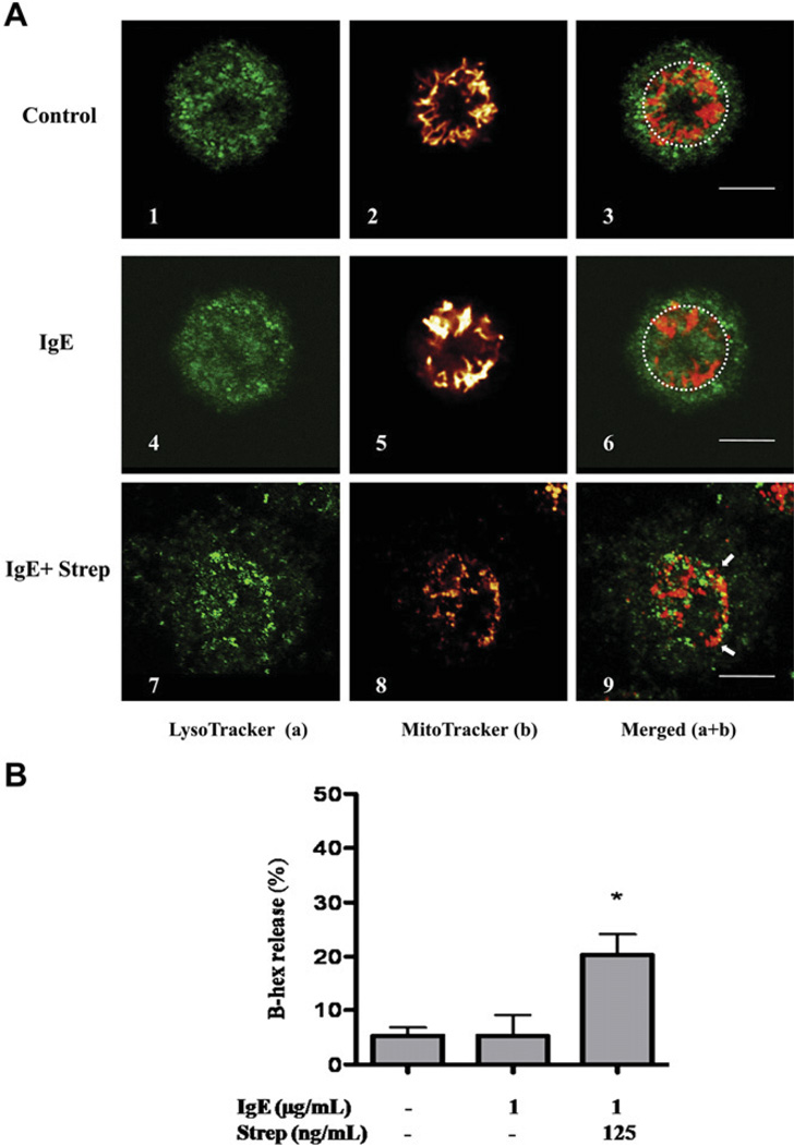 FIG 1