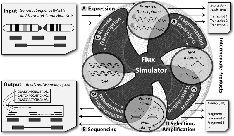 Figure 1.