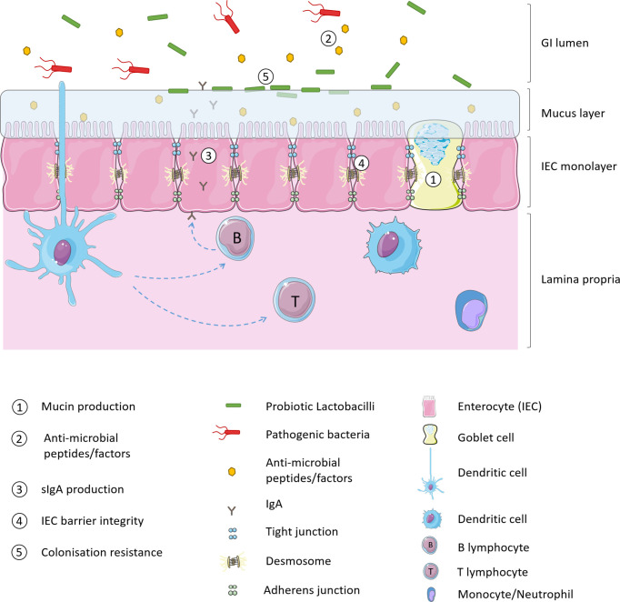 Figure 1