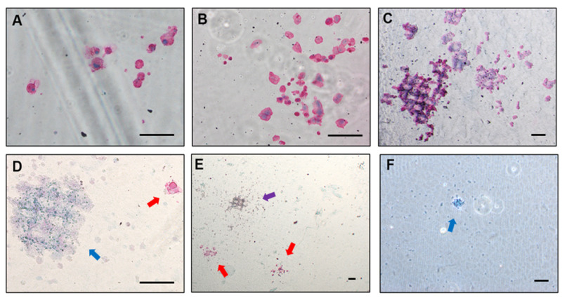 Figure 5.