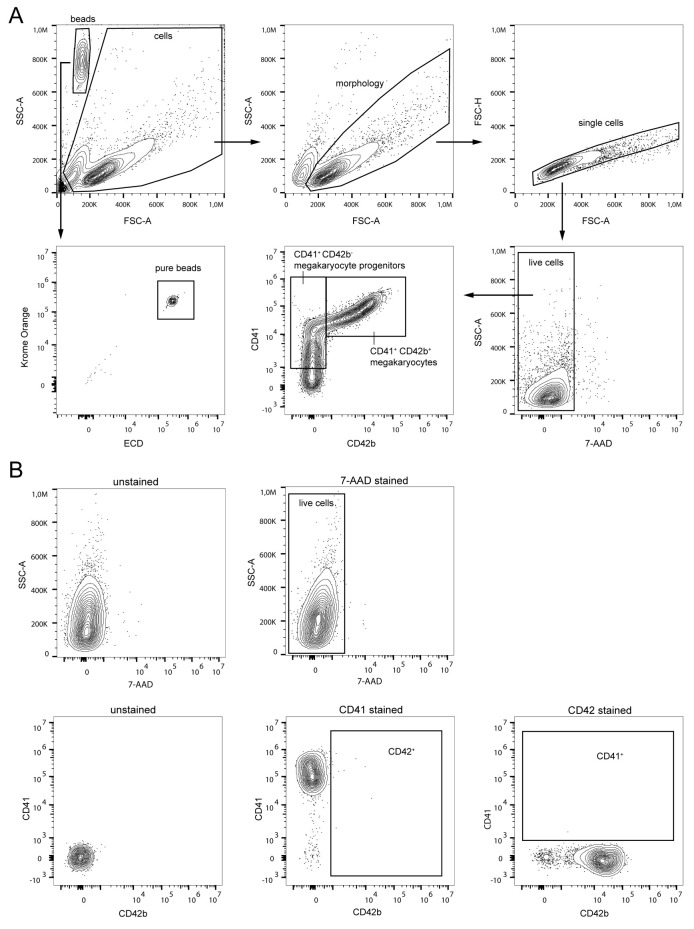 Figure 6.