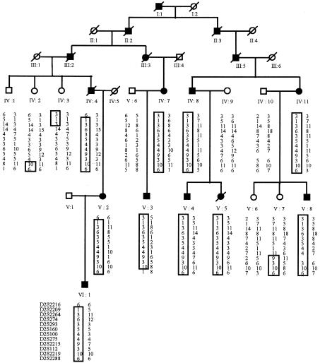 Figure  1