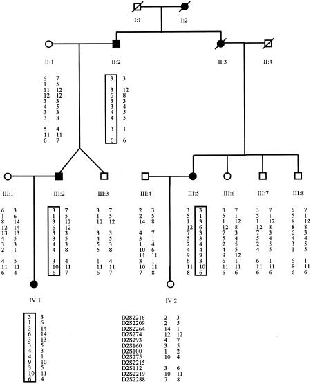 Figure  2