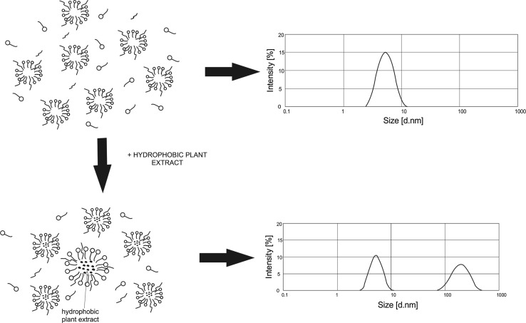 Fig. 6