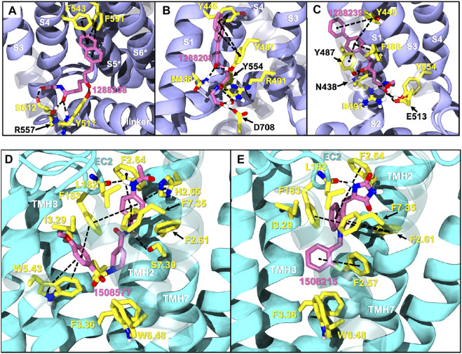 FIGURE 2