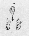 96-2
