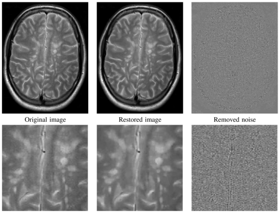 Fig. 19