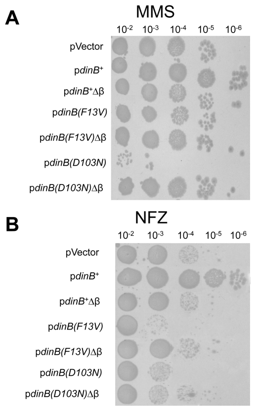 Figure 6