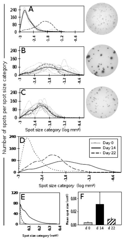 Fig. 5