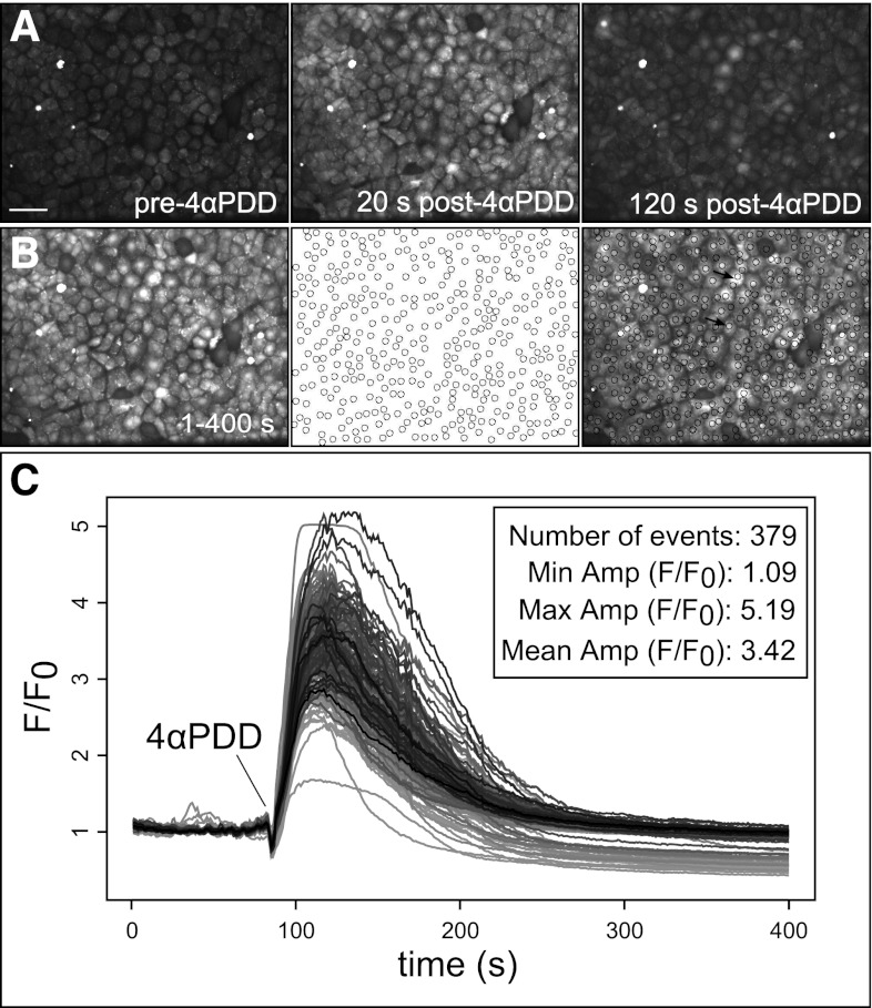 Fig. 4.