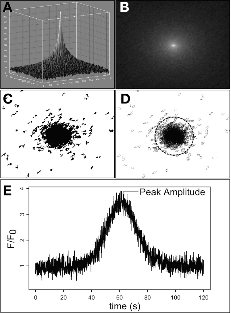 Fig. 2.