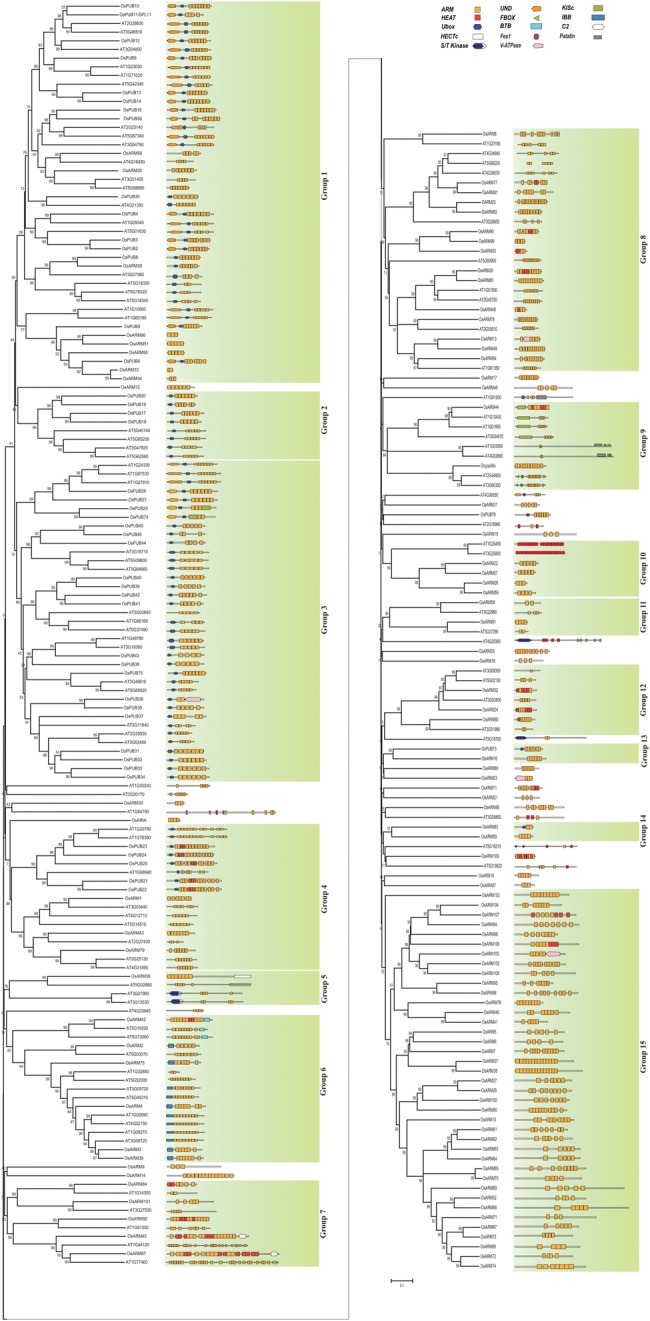 Figure 1.