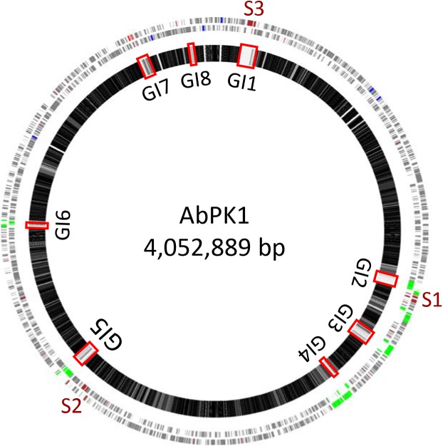 FIGURE 3