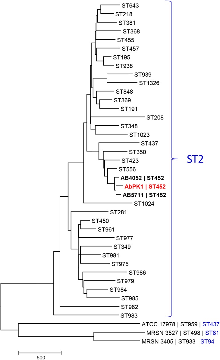 FIGURE 2