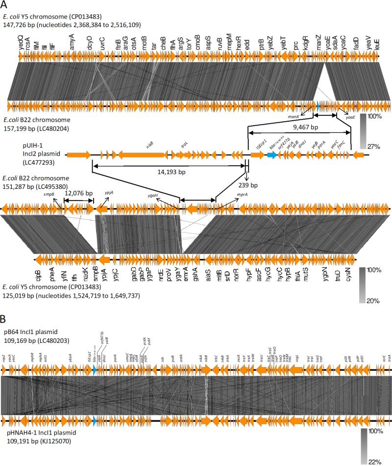 FIG 1