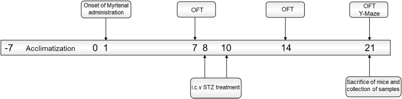 Fig. 2