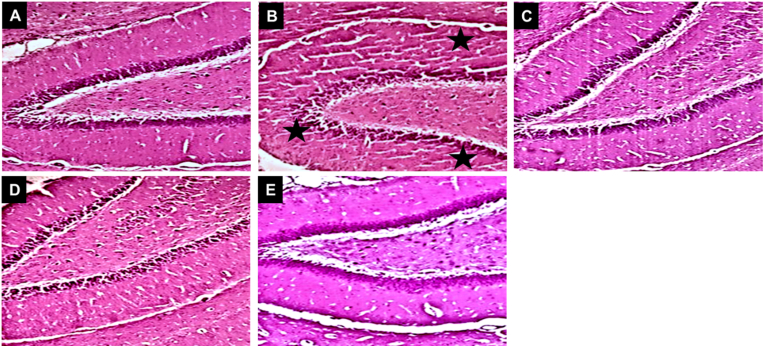 Fig. 7