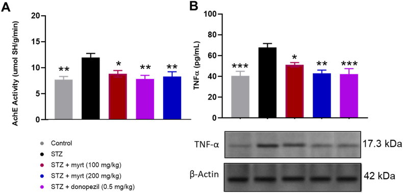 Fig. 6