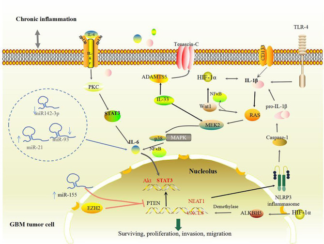 Figure 1