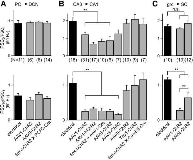 Figure 11.